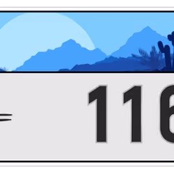 2916