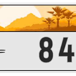 Plate #167