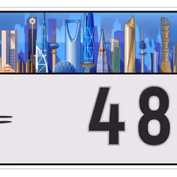 Plate #2506