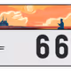 31