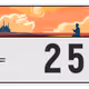 1253