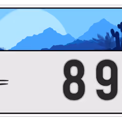 Plate #1035