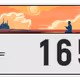 1717
