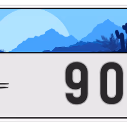20
