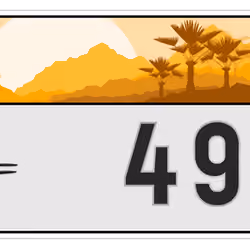 Plate #256