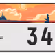3275