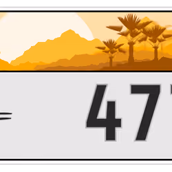 Plate #2934