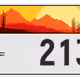 2494