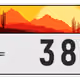 2529