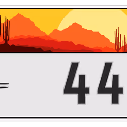 Plate #719