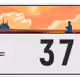 1733