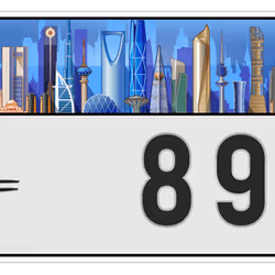 3253
