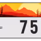 2531