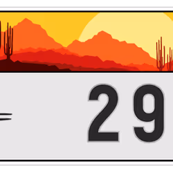 Plate #462