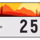 1089