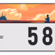 2251
