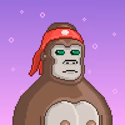 Moon Kong #1246