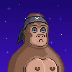 Moon Kong #1474
