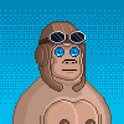 Moon Kong #867