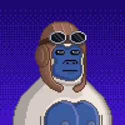 Moon Kong #1490