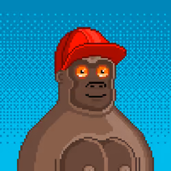 Moon Kong #1014