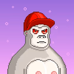 Moon Kong #429