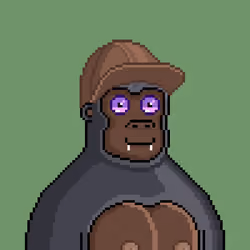 Moon Kong #1113