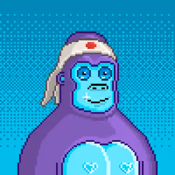 Moon Kong #370