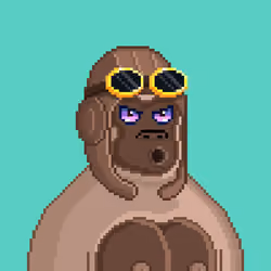 Moon Kong #914