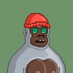 Moon Kong #1451