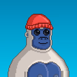 Moon Kong #1697
