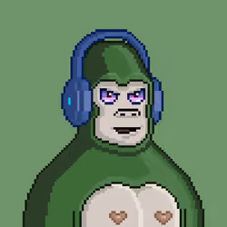 Moon Kong #895