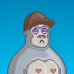 Moon Kong #1401