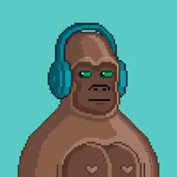 Moon Kong #1449