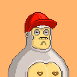 Moon Kong #1446