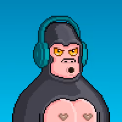 Moon Kong #1405