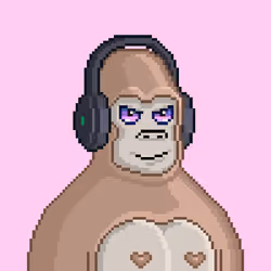 Moon Kong #221