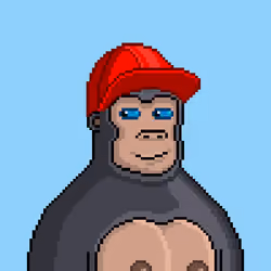 Moon Kong #311