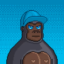 Moon Kong #1471