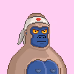 Moon Kong #1635