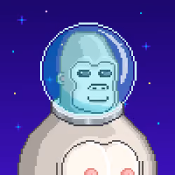 Moon Kong #1997