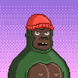 Moon Kong #369