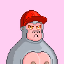 Moon Kong #1007