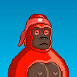 Moon Kong #1126