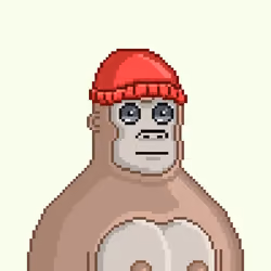 Moon Kong #1417