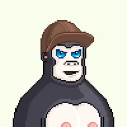 Moon Kong #1684