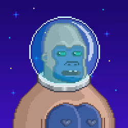 Moon Kong #428