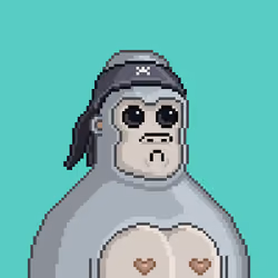 Moon Kong #974