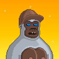 Moon Kong #427