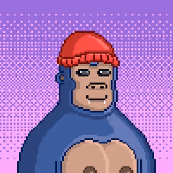 Moon Kong #1537